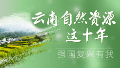 关于印发《云南省工业项目“标准地” 出让改革工作指引》的通知